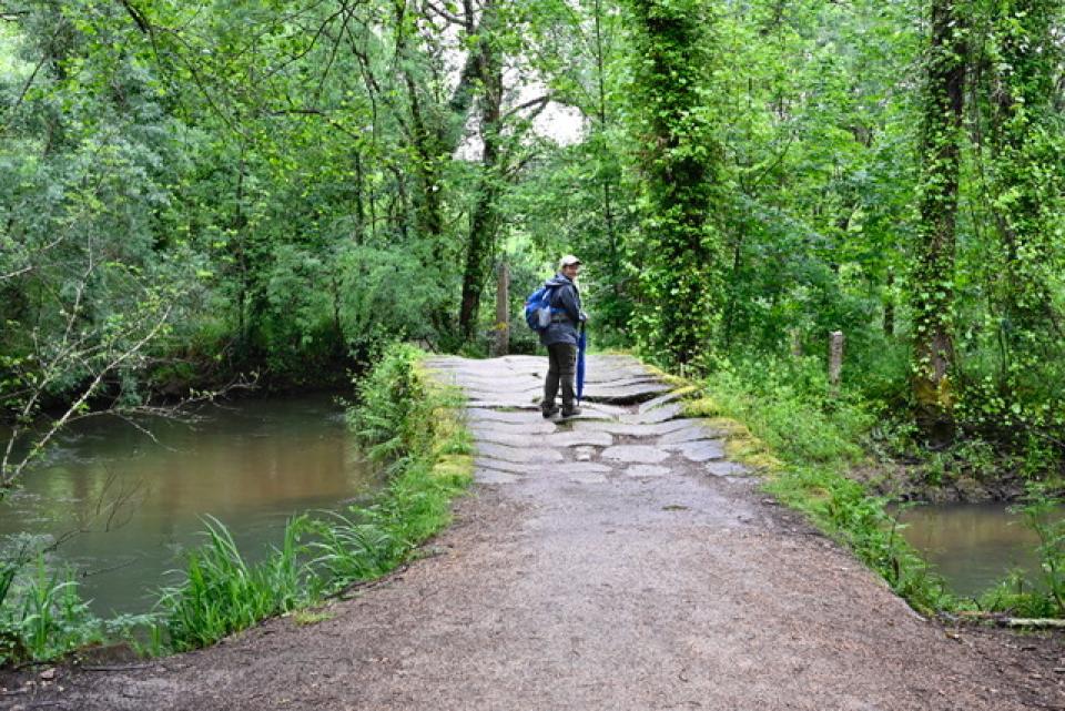 Cool bridge on the Camino between Tui and Perrino